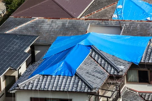 Roof Repair or Replacement? How to Tell Before Winter Hits
